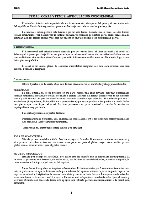 Miniatura del documento Tema 1.pdf