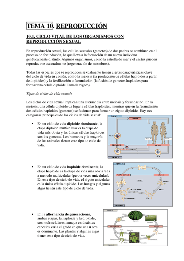 Miniatura del documento TEMA 10.pdf