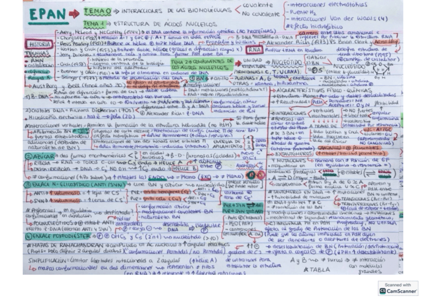 Miniatura del documento FLASHCARDS-EPAN-TODO-RESUMIDO.pdf
