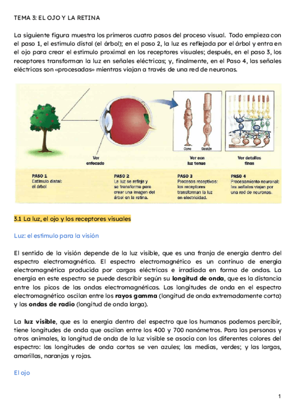 Miniatura del documento Percepcion-tema-3-2024-2025.pdf