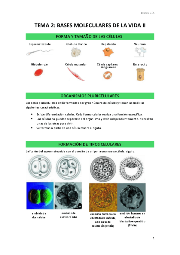 Miniatura del documento TEMA-2.pdf