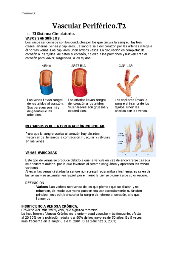 Miniatura del documento T2-VASCULAR-1.pdf