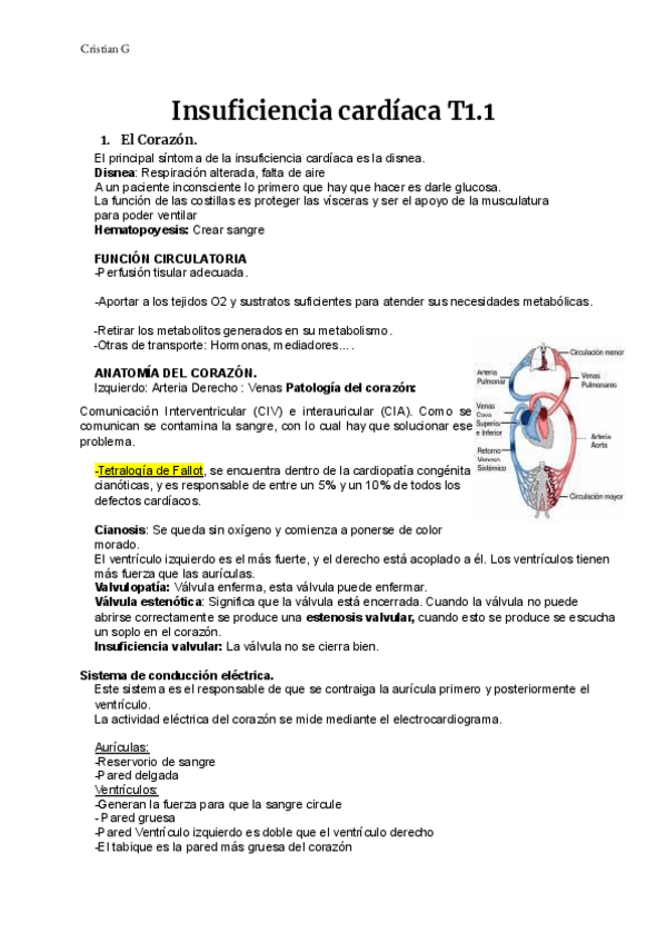 Miniatura del documento T1.1-IIC.pdf