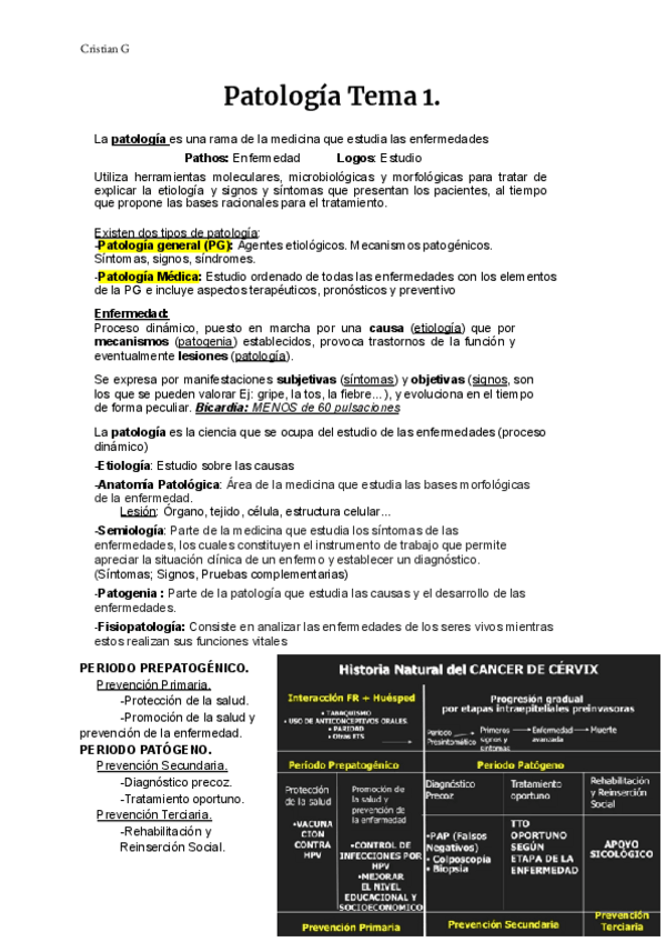 Miniatura del documento T1-introduccion.pdf