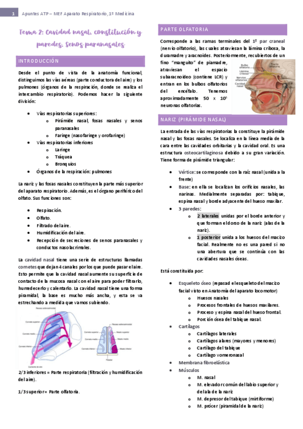 Miniatura del documento tema-2-ap-respiratorio.pdf