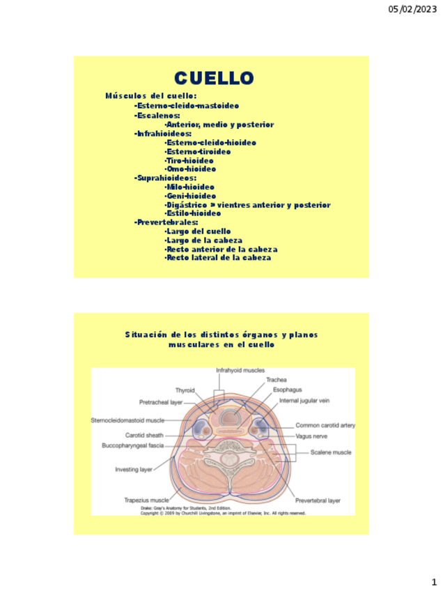 Miniatura del documento Apuntes-De-Clase-Cuello.pdf