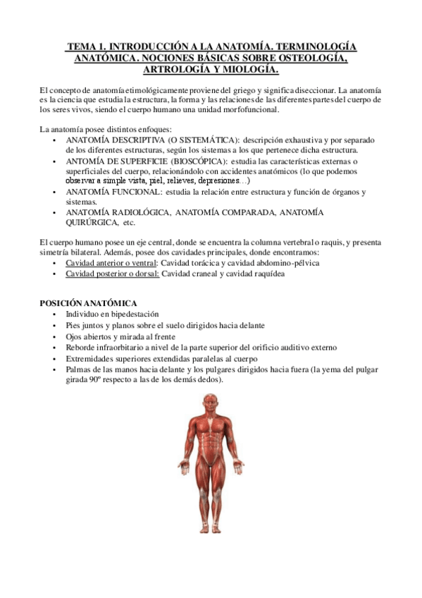 Miniatura del documento ANATOMIA-COMPLETO.pdf