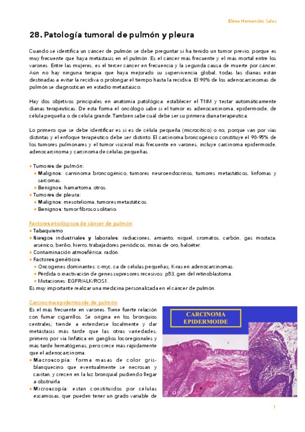 Miniatura del documento 28. Tumores de pulmón y pleura.pdf