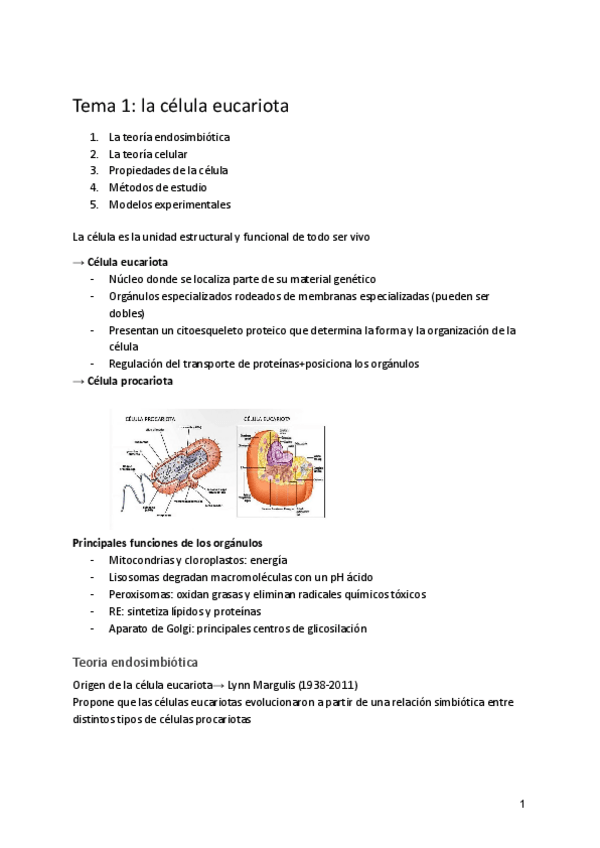 Miniatura del documento Tema-1-La-cellula-eucariota.pdf