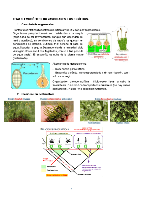 Miniatura del documento TEMA-3.pdf