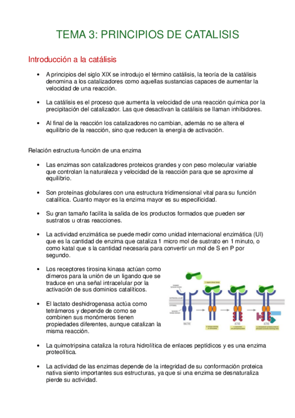 Miniatura del documento Tema3Principios-de-la-catalisis.pdf