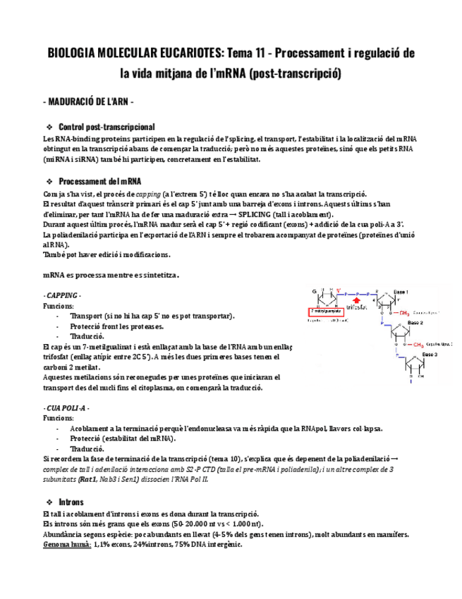 Miniatura del documento Tema-11-BME.pdf