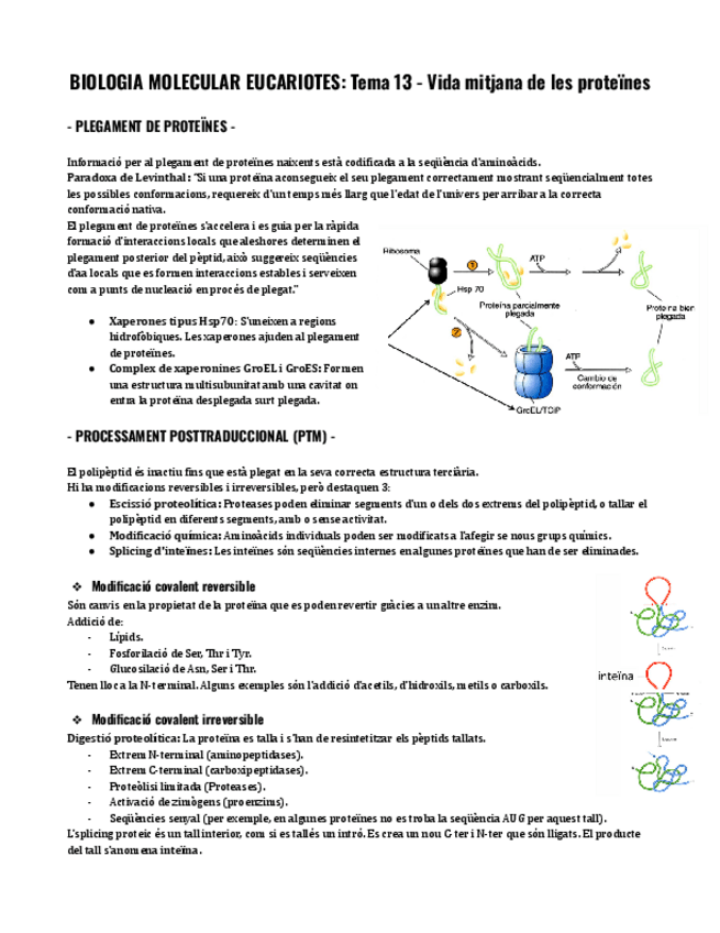 Miniatura del documento Tema-13-BME.pdf