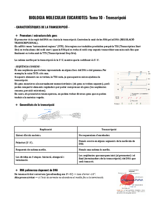 Miniatura del documento Tema-10-BME.pdf
