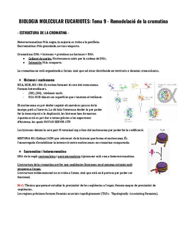 Miniatura del documento Tema-9-BME.pdf