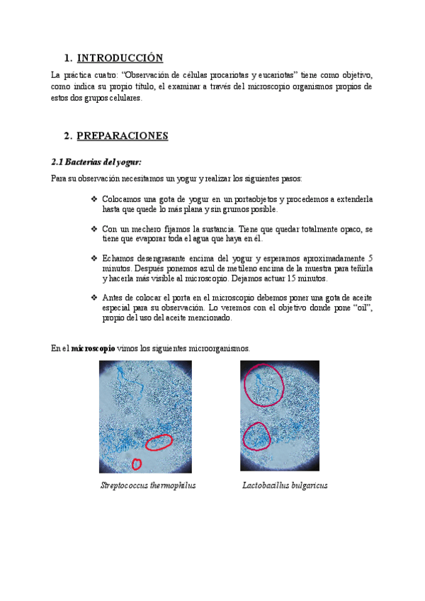 Miniatura del documento PR4 - CÉLULAS PROCARIOTAS Y EUCARIOTAS.pdf