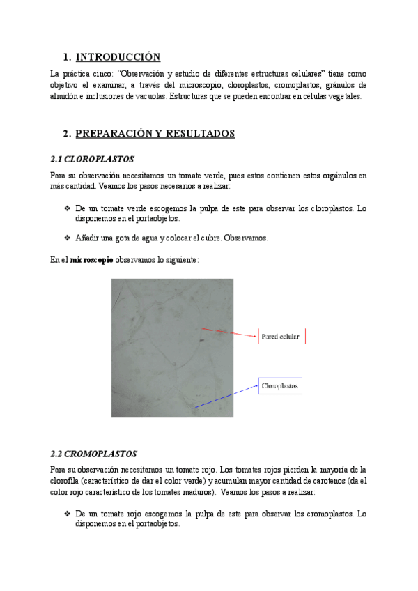 Miniatura del documento PR5 - CÉLULAS VEGETALES Y COMPONENTES - BIOLOGÍA.pdf