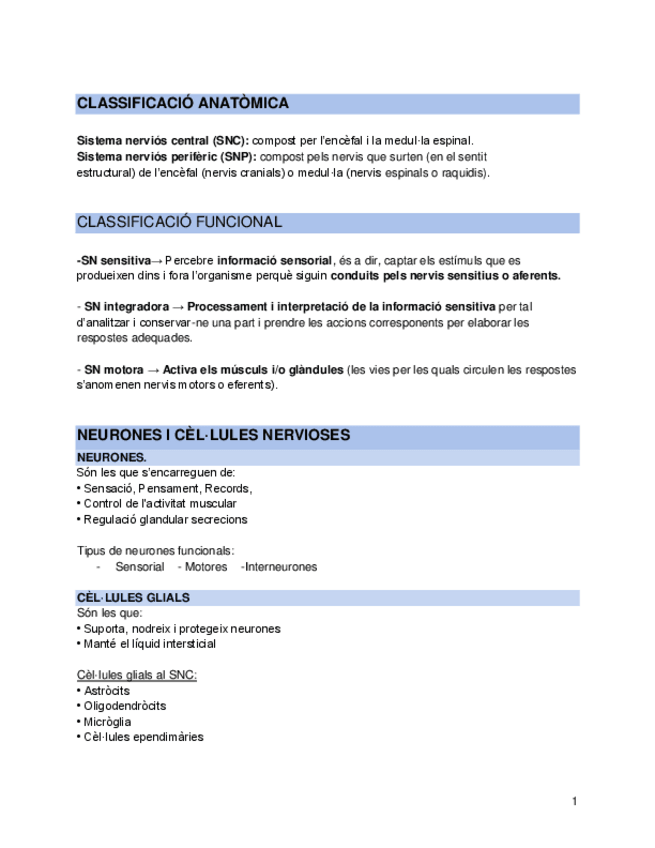 Miniatura del documento SISTEMA-NERVIOS.pdf