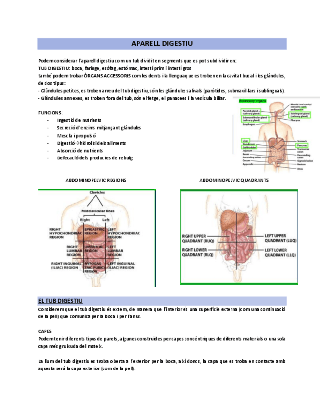 Miniatura del documento 1.-SISTEMA-DIGESTIU.pdf