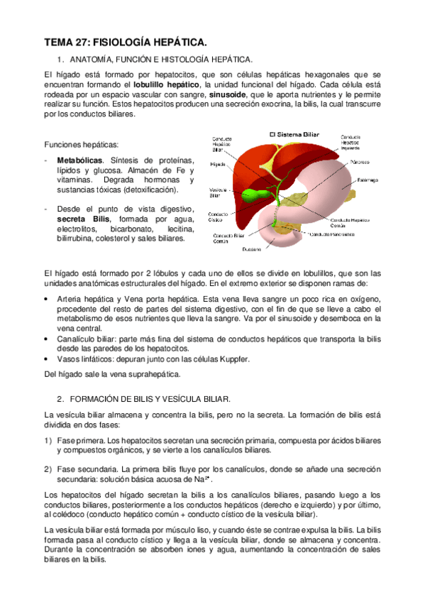 Miniatura del documento TEMA 27.pdf