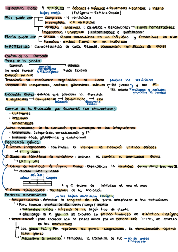 Miniatura del documento Tema-9-La-Flor.-El-Control-De-La-Floracion.pdf