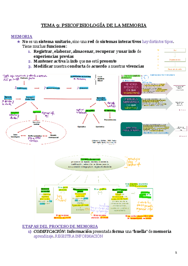 Miniatura del documento T9.pdf