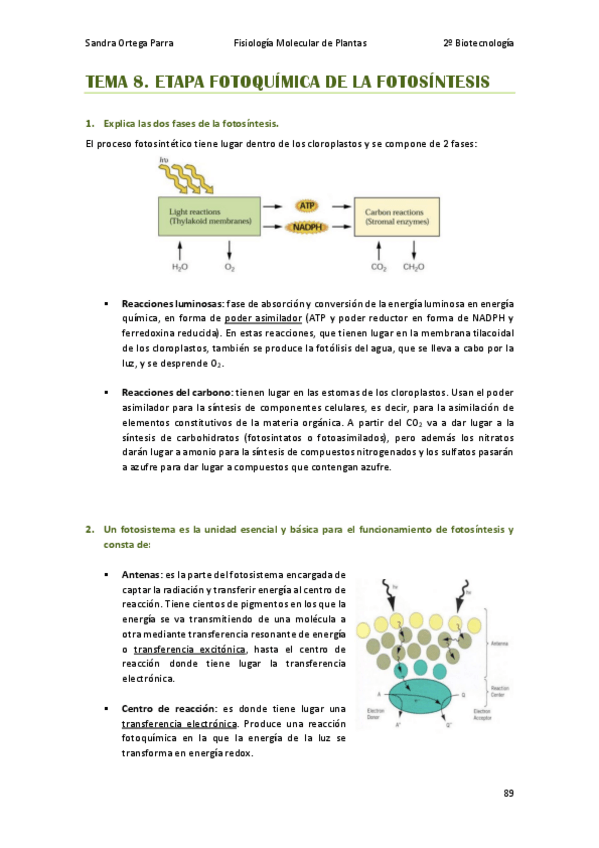 Miniatura del documento APUNTES-T8-FMP-preguntas.pdf