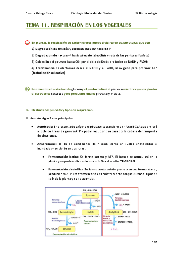 Miniatura del documento APUNTES-T11-FMP.pdf