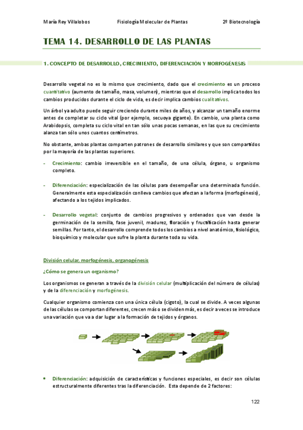 Miniatura del documento TEMA-14-FMP.pdf