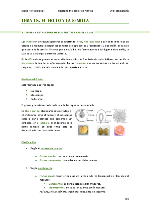 Miniatura del documento TEMA-18-FMP.pdf