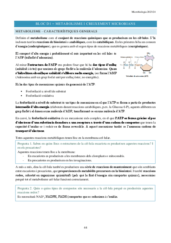 Miniatura del documento BLOC-D.pdf