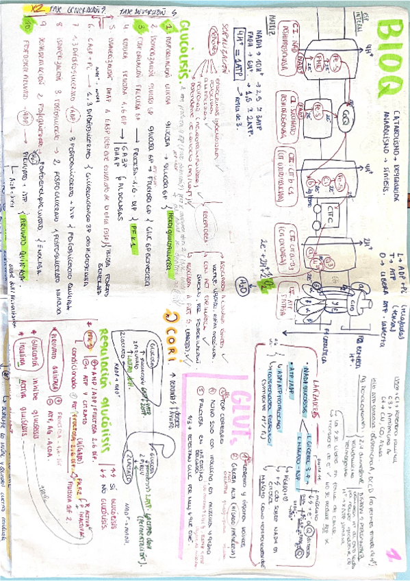 Miniatura del documento BIOQUIMICA-2324.pdf