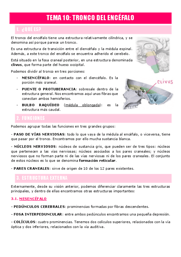 Miniatura del documento TEMA-10.-Tronco-del-encefalo.pdf