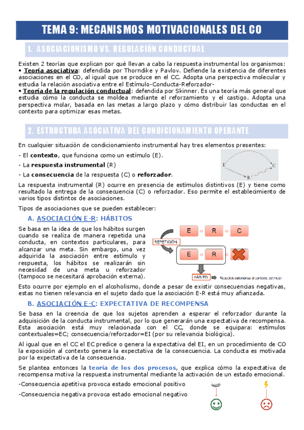 Miniatura del documento TEMA-9.-MECANISMOS-MOTIVACIONALES-DEL-CO.pdf