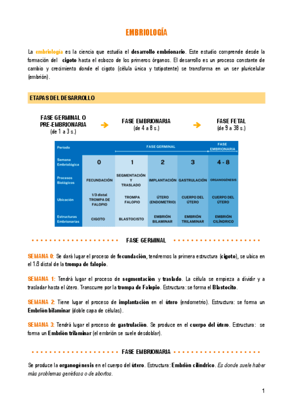 Miniatura del documento T.2-EMBRIOLOGIA.pdf