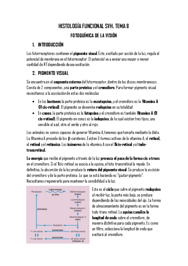 Miniatura del documento TEMA 8.pdf