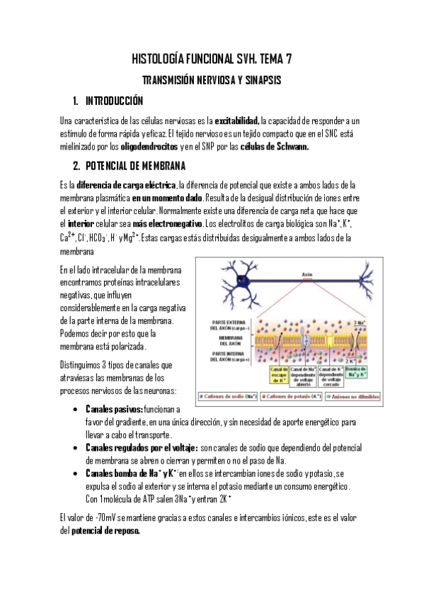 Miniatura del documento TEMA 7.pdf