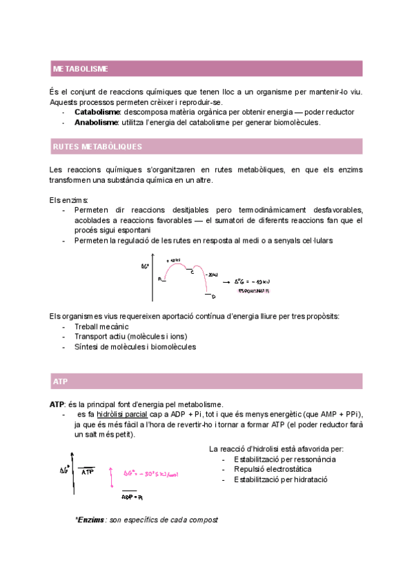 Miniatura del documento INTRODUCCIO-METABOLISME.pdf