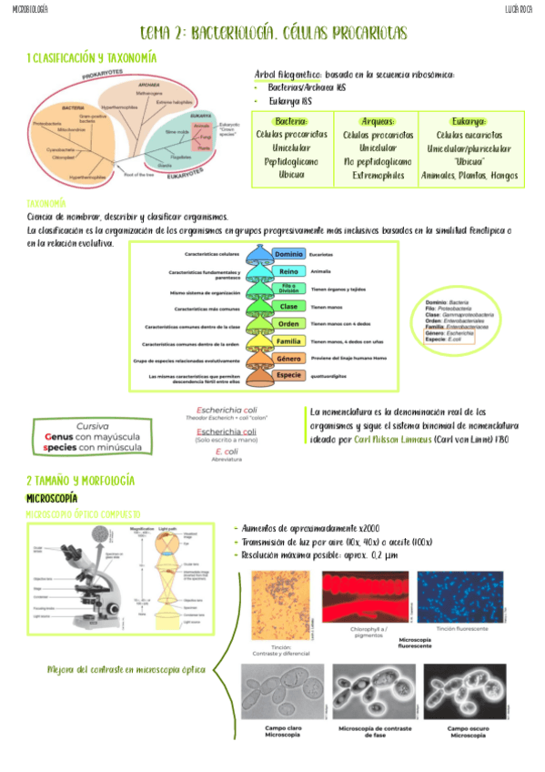 Miniatura del documento tema-2-micro.pdf