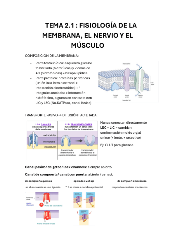 Miniatura del documento temario-completo--seminarios-1o-cuatri.pdf