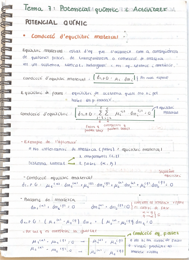 Miniatura del documento Potencial-Quimica-i-Activitats.pdf