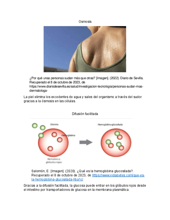 Miniatura del documento Osmosis-y-difusion-facilitada.pdf