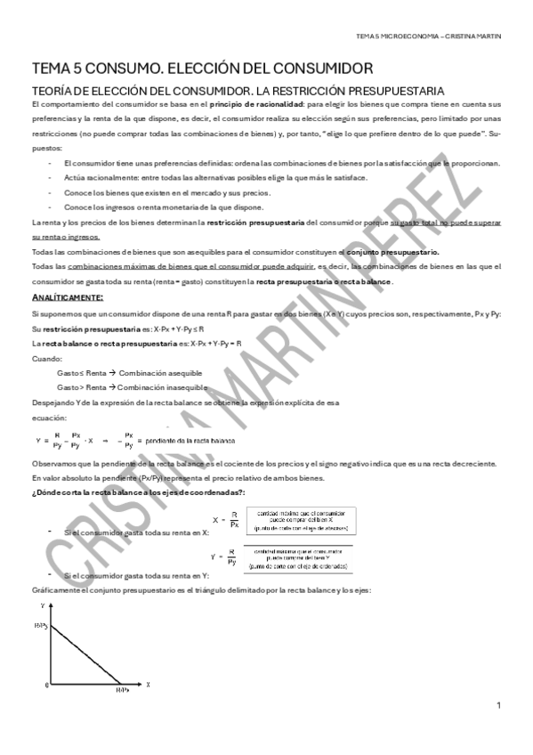 Miniatura del documento TEMA-5.pdf