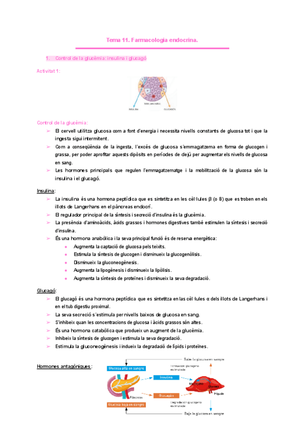 Miniatura del documento Tema-11.-Farmacologia-endocrina..pdf