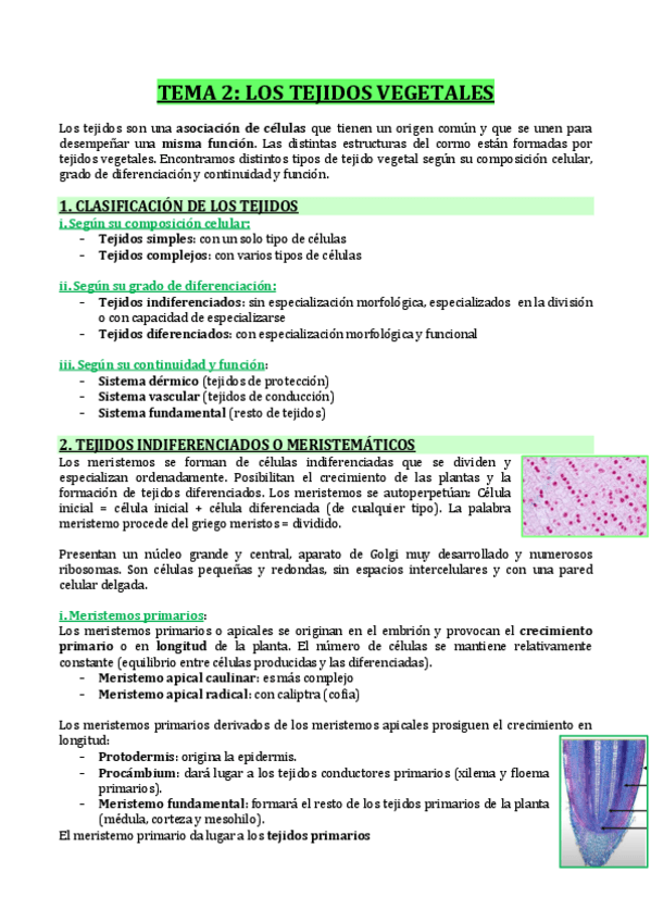 Miniatura del documento T2-TEJIDOS-VEGETALES.pdf