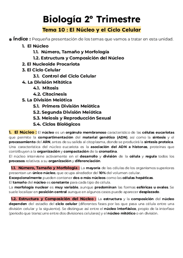 Miniatura del documento Tema-10-El-Nucleo-y-el-Ciclo-Celular.pdf