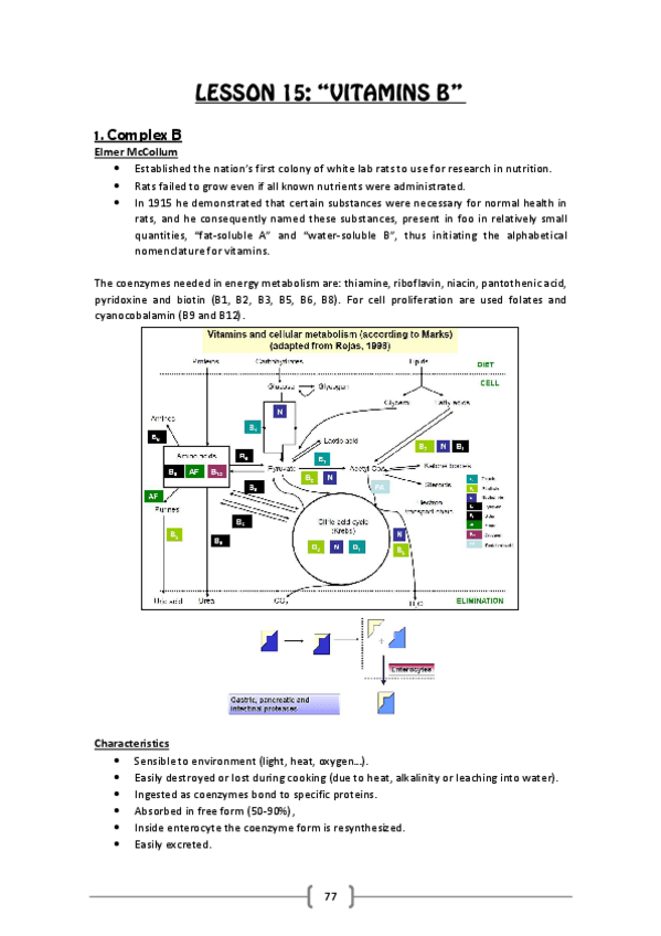 Miniatura del documento Lesson 15 (Vitamins B).pdf