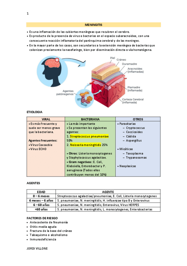 Miniatura del documento MENINGITIS.pdf