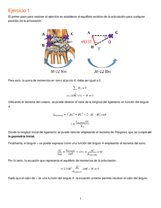 Miniatura del documento Ejercicio1.pdf