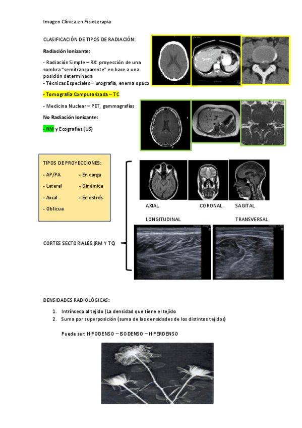 Miniatura del documento TEMA 1. Introducción a la imagen clínica.pdf